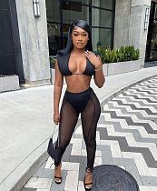 Sleeveless Crop Top Mesh Patchwork Pants Suit AL-273