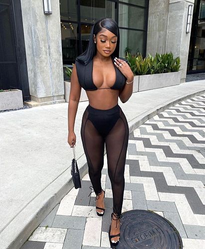 Sleeveless Crop Top Mesh Patchwork Pants Suit AL-273