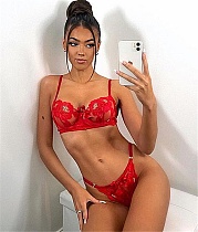 Red Strappy Bralette Set with Garter Belt SHFE-W503