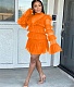 Ruffles Sheer Mesh Long Flare Sleeve 2 Piece Dress Sets MEI-9233