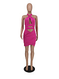 Cross Halter Sleeveless Cut Out Bodycon Dress ZAND-31198