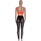 Elastic High Waist See Through Mesh Leggings Pants HMS-5540