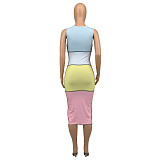 Patchwork Sleeveless Knit Bodycon Dress GLS-10083