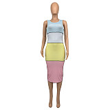 Patchwork Sleeveless Knit Bodycon Dress GLS-10083