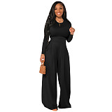 Simple Long Sleeve Crop T-shirt Wide Leg Pant Outfits YD-8522