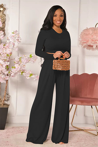 Simple Long Sleeve Crop T-shirt Wide Leg Pant Outfits YD-8522