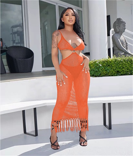 Hollow Out Knitted Tassel Beach Backless Maxi Dress TR-1202