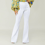 Solid High Waist Skinny Office Lady Flare Pants SH-390308