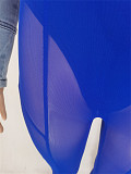 Perspective Mesh High Waist Leggings Pants FE-218
