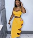 Camisole Crop Top Hollow Out Maxi Skirts Outfits NM-8353