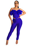 Feathers Corset Crop Top and Cut Out Pants Outfits MEM-88434