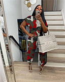 Camo Print Short Sleeve Crop Tops Hole Pencil Pants Suit TK-6240