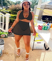 Solid Deep V Halter Bra Mesh Sheath Mini Skirts 2 Piece Bikini Set WSM-5257