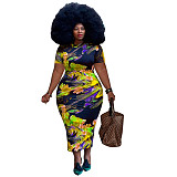 Floral Print Short Sleeve Vintage Plus Size Dresses OSS-22298