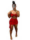 Strapless Tube Crop Tops with Mini Skirt 2 Piece Set WSM-5317