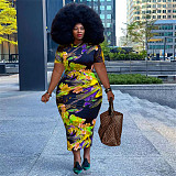 Floral Print Short Sleeve Vintage Plus Size Dresses OSS-22298