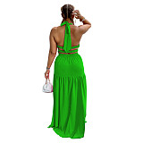 Halter Neck Lace Up Open Back Sleeveless Maxi Dress AIL-214