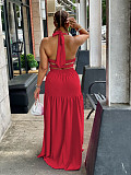Halter Neck Lace Up Open Back Sleeveless Maxi Dress AIL-214