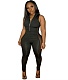 Mesh Patchwork Sleeveless Zipper Bodycon Jumpsuit FE-216