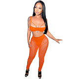 Sexy Bra Crop Top+Patchwork Sheer Mesh Pants Outfits BY-5799