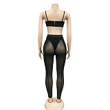 Sexy Bra Crop Top+Patchwork Sheer Mesh Pants Outfits BY-5799