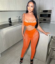 Sexy Bra Crop Top+Patchwork Sheer Mesh Pants Outfits BY-5799