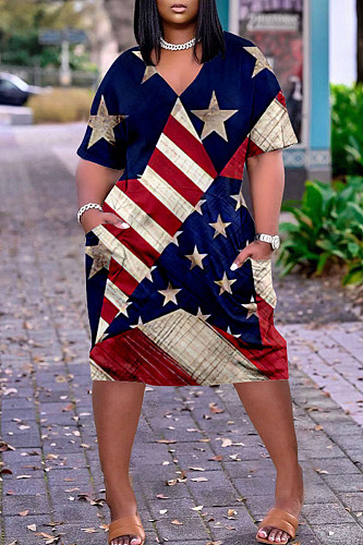 Short Sleeve V Neck Print Loose Casual Dress JLY-19389