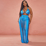 Beach Swimsuit Halter Bra Crop Top and Maxi Skirt Sets ZS-0484