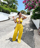 Cut Out Sexy Sleeveless Wide Leg Women Jumpsuits BN-9333
