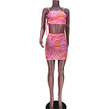 Spaghetti Strap Crop Top And Mini Skirt Sexy 2 Piece Set JZH-8055