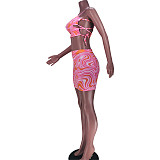 Spaghetti Strap Crop Top And Mini Skirt Sexy 2 Piece Set JZH-8055
