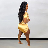 Bronzing Short Sleeve Crop Tops Sexy Skirts 2 Piece Set YNS-1801