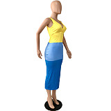 V Neck Color Block Bodycon Backless Skinny Dresses YNS-16803