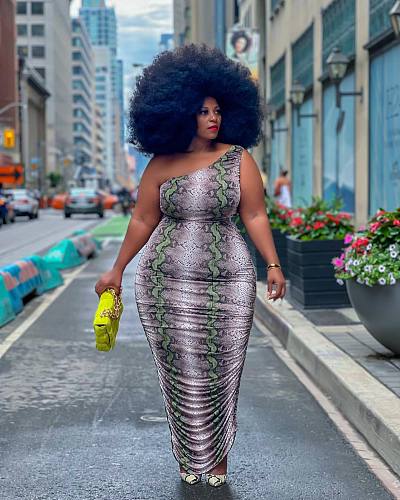 Snakeskin One Shoulder Ruched Plus Size Dresses HEJ-22Y6125