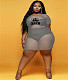 Sheer Mesh Letter Print Short Sleeve Plus Size Dress JLY-19322