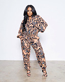 Leopard Print Long Sleeve Shirt 2 Piece Pants Set ANDI-1398