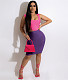 Sleeveless Crop Tops+Slim Fit Skirt 2pcs Outfits NY-7270