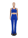 Office Lady Blazer Solid Jacket 3 Piece Pants Set ZAND-31229