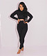Turtleneck Long Sleeve Crop Top Pencil Pants Suit SHA-86322