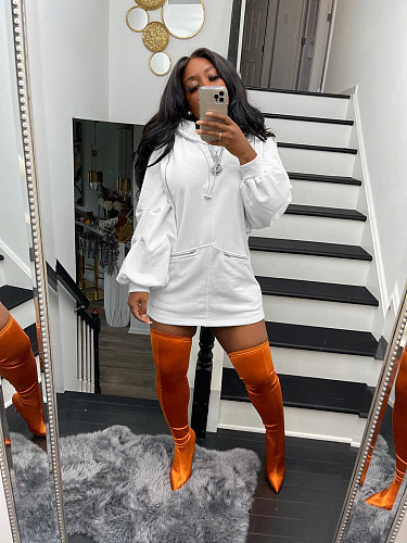 Zipper Stitching Loose Long Sleeve Hooded Sweatshirt ANDI-1405