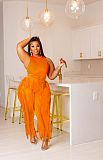 Tank Top and Tassel Side Straight Pants 2 Piece Set ZAND-31230
