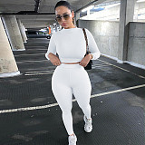 Fitness Crop Tops T Shirt Leggings Pants Two Piece Set HX-2054