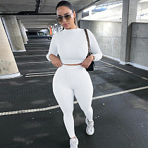Fitness Crop Tops T Shirt Leggings Pants Two Piece Set HX-2054
