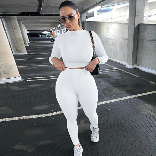 Fitness Crop Tops T Shirt Leggings Pants Two Piece Set HX-2054