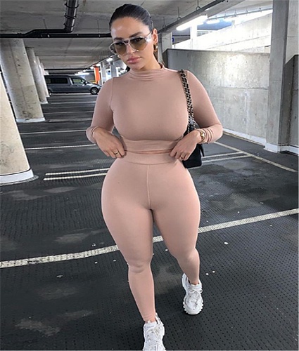 Fitness Crop Tops T Shirt Leggings Pants Two Piece Set HX-2054