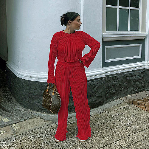 Pleated Loose Blouse Crop Top Wide Leg Pants Outfits NY-9043