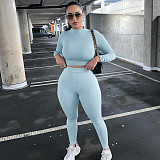 Fitness Crop Tops T Shirt Leggings Pants Two Piece Set HX-2054