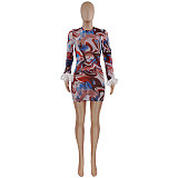 Mesh Print Feather Long Sleeve Round Neck Dresses JZH-8122