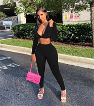 Yoga Fitness Crop Top Leggings 2 Piece Pants Set WSY-5955