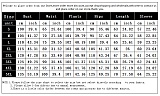 Casual Sportswear Joggers Two Piece Pants Set DN-3333C3
